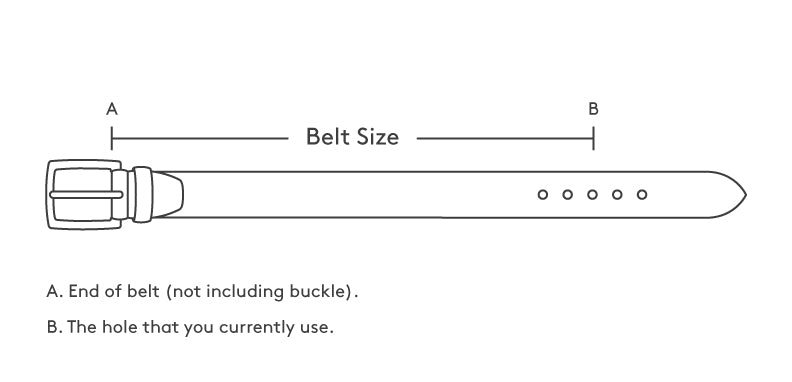Black English Bridle Quick Release Belt